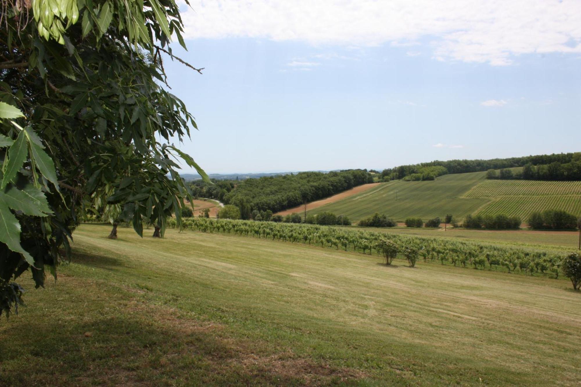 Domaine De Perches Bed and Breakfast Gaillac Exteriör bild